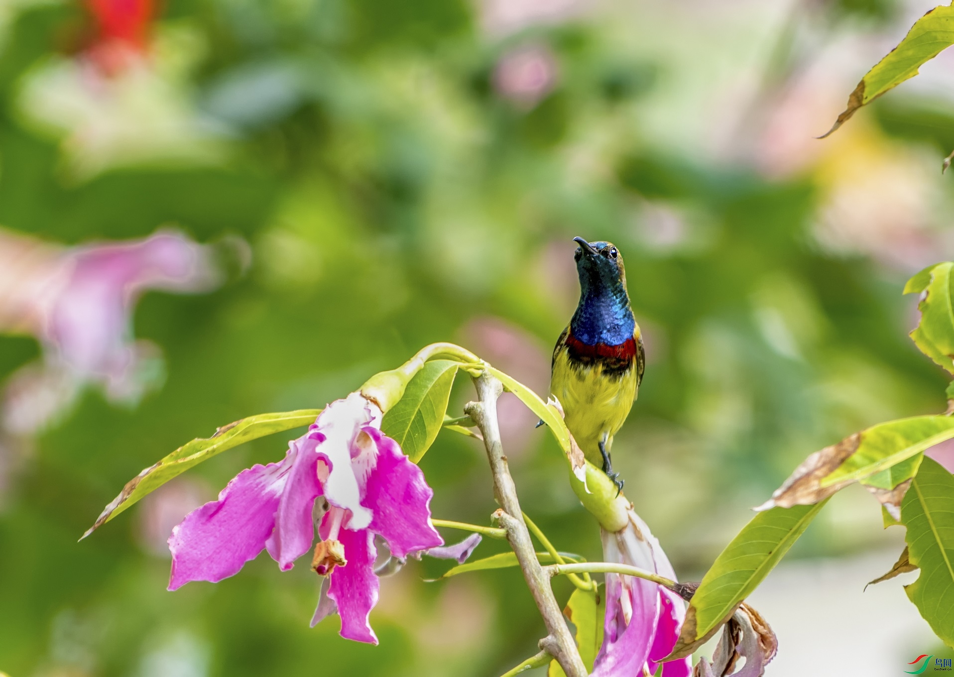 DSC_8623aa.jpg