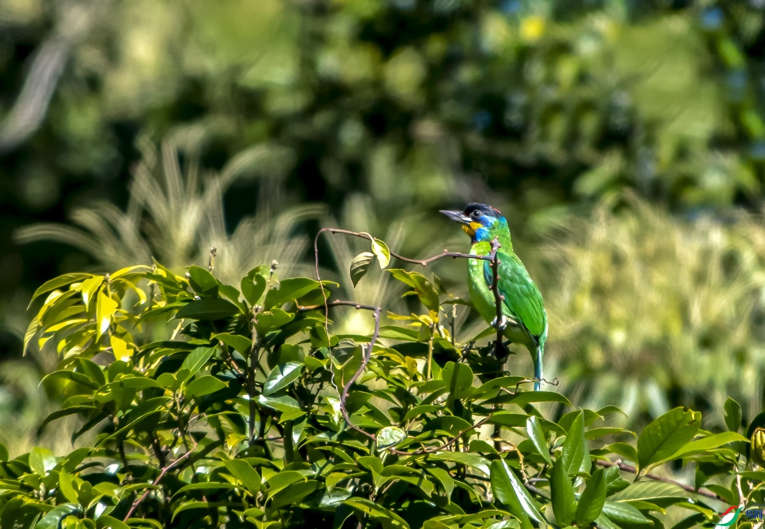 DSC_8374aa.jpg