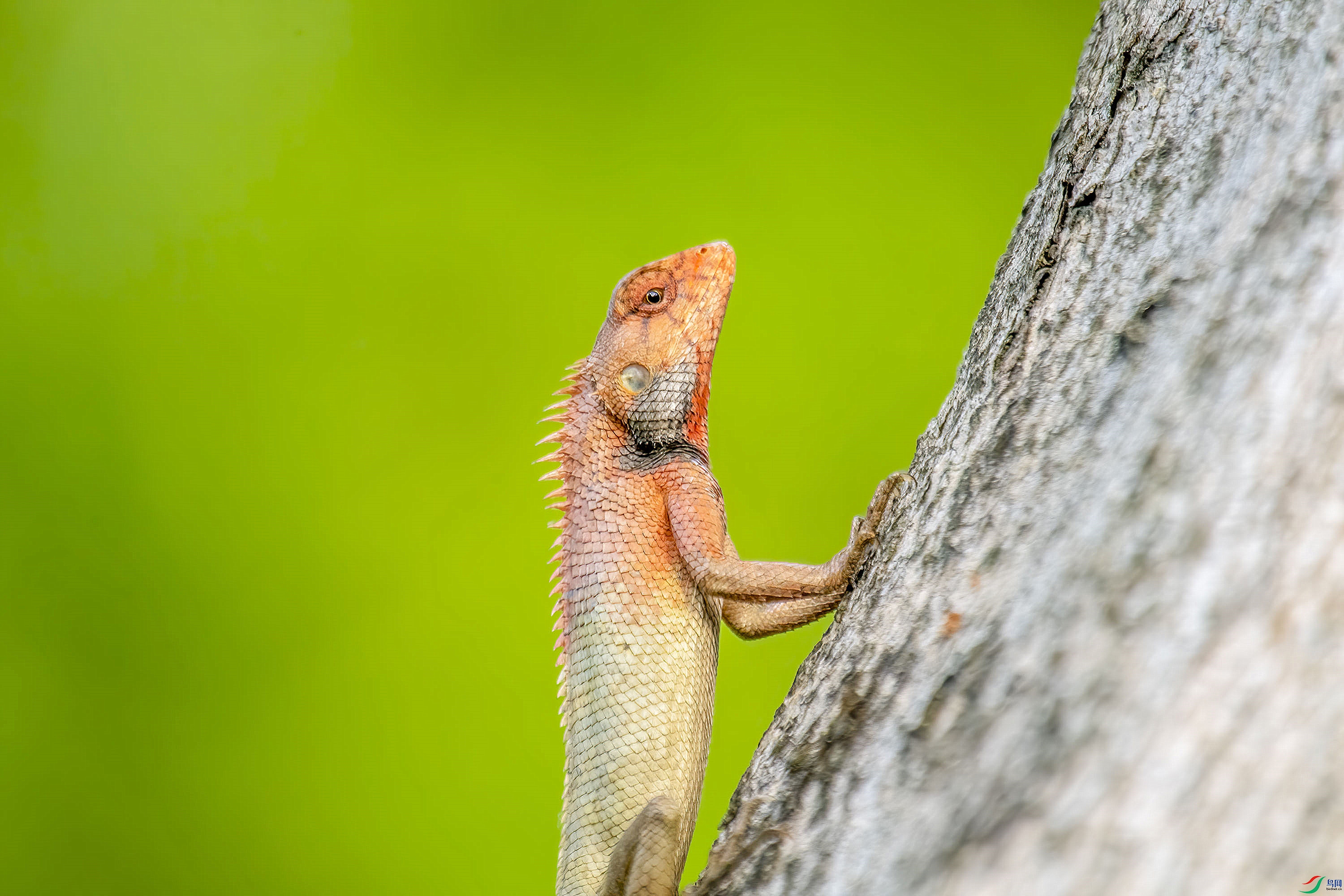 DSC_3657_����.jpg