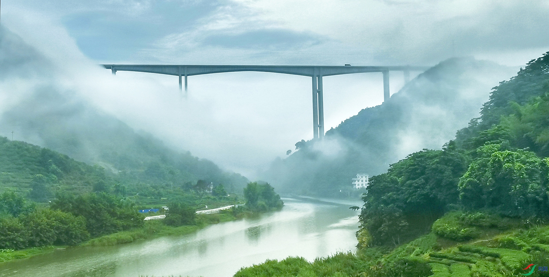 IMG_20200704_060301a1 (2)a.jpg