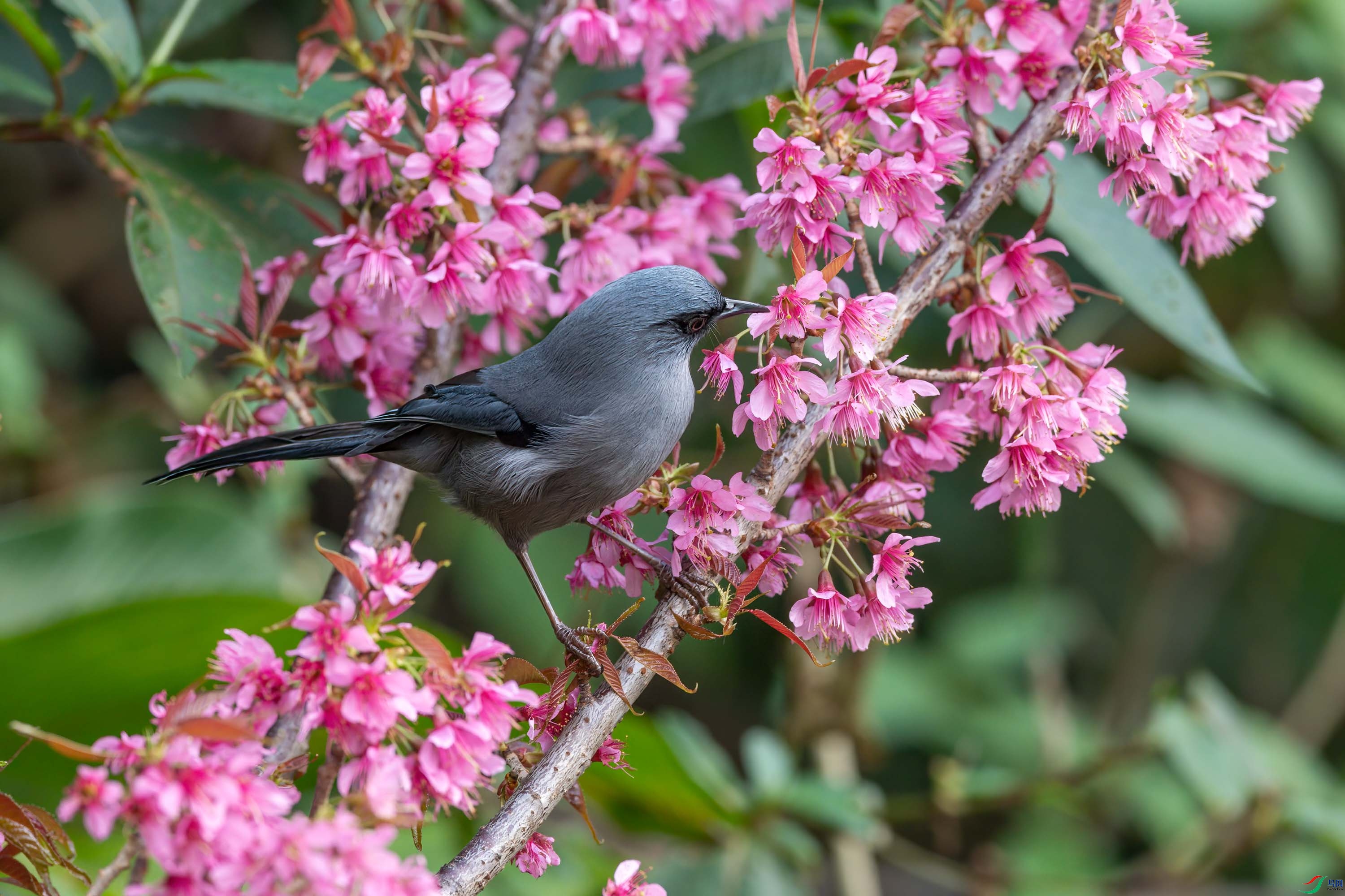 DSC_6276_2.jpg