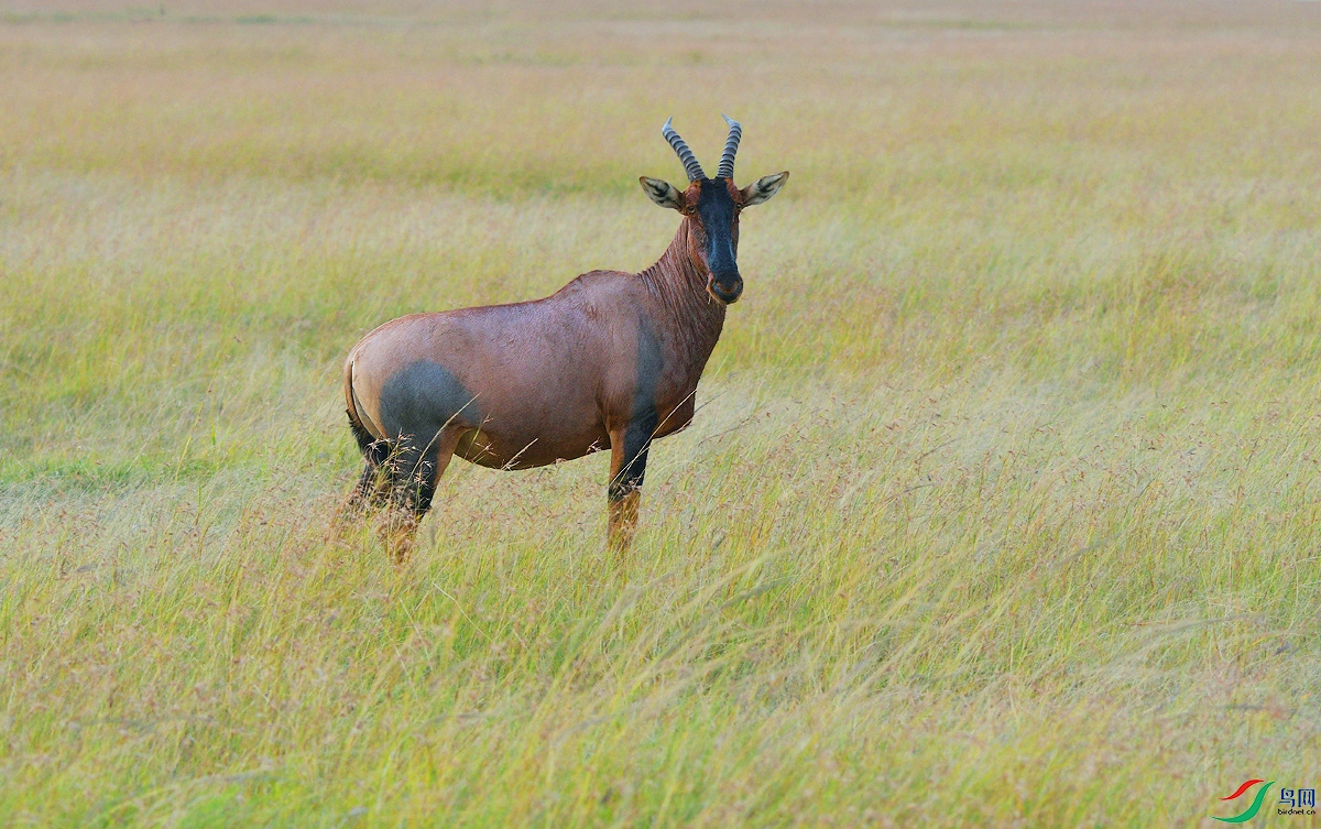 DSC_5099.JPG