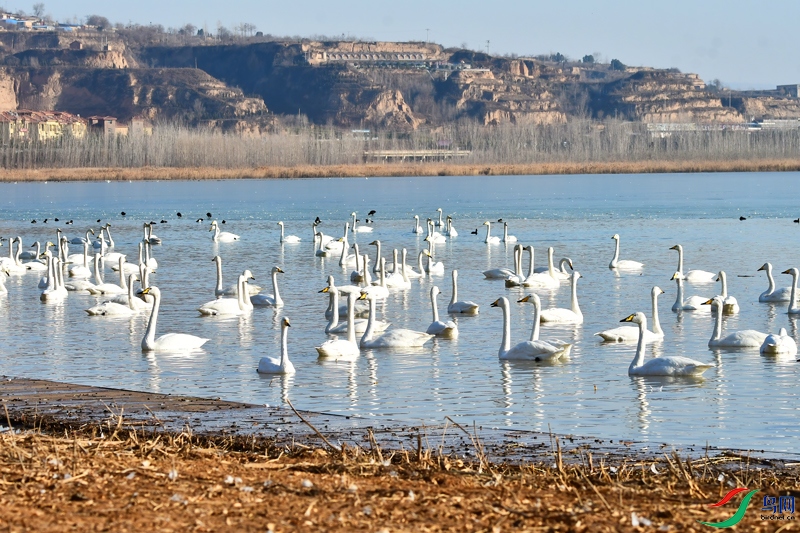 DSC_2415ƽ½����췢2 (1).jpg