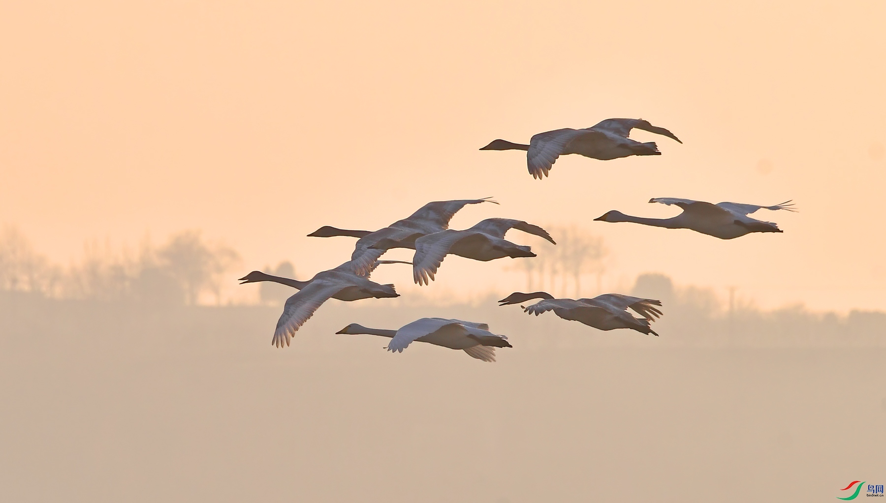 DSC_4456����� =��3.jpg