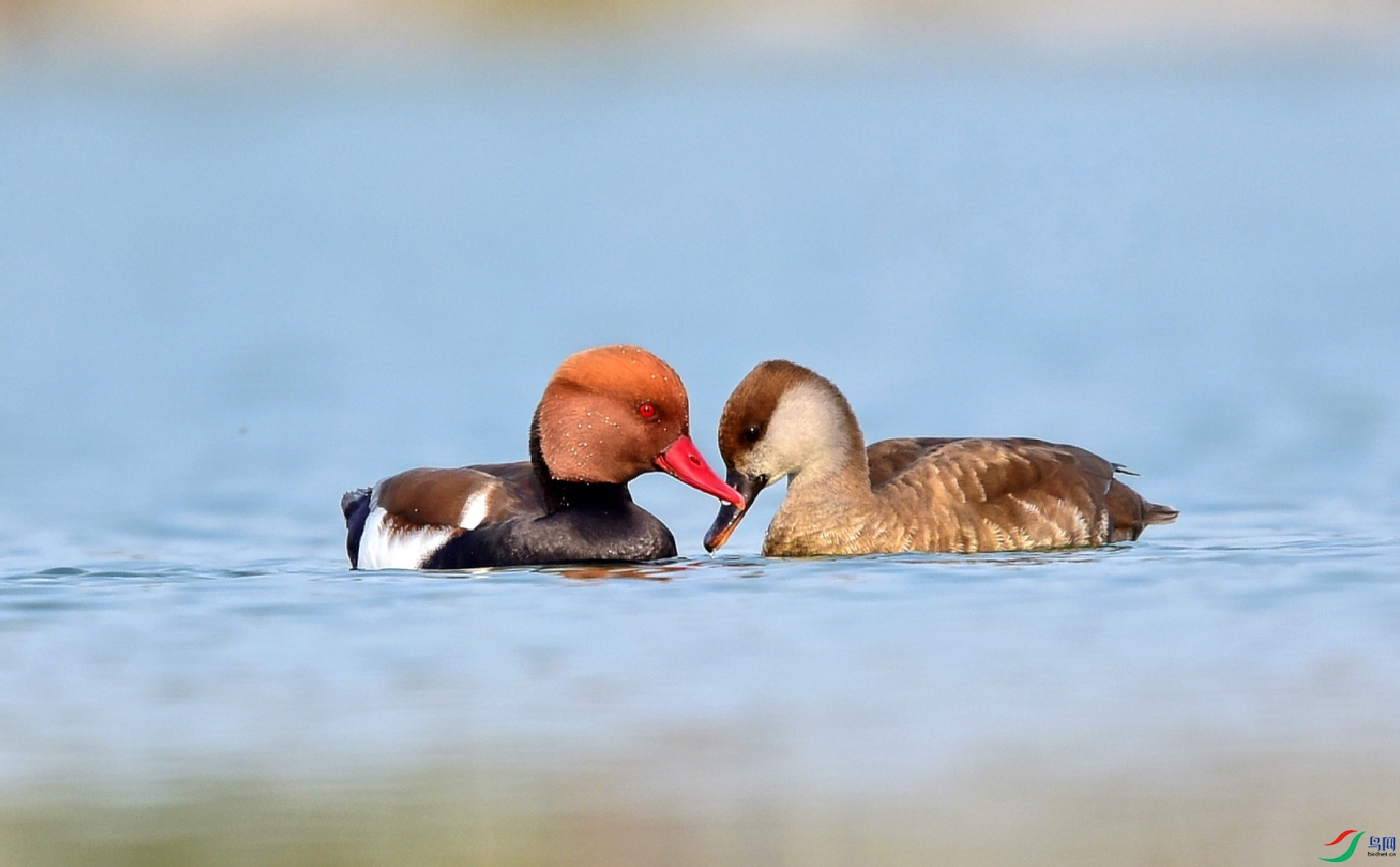 DSC_0399_conew2.jpg