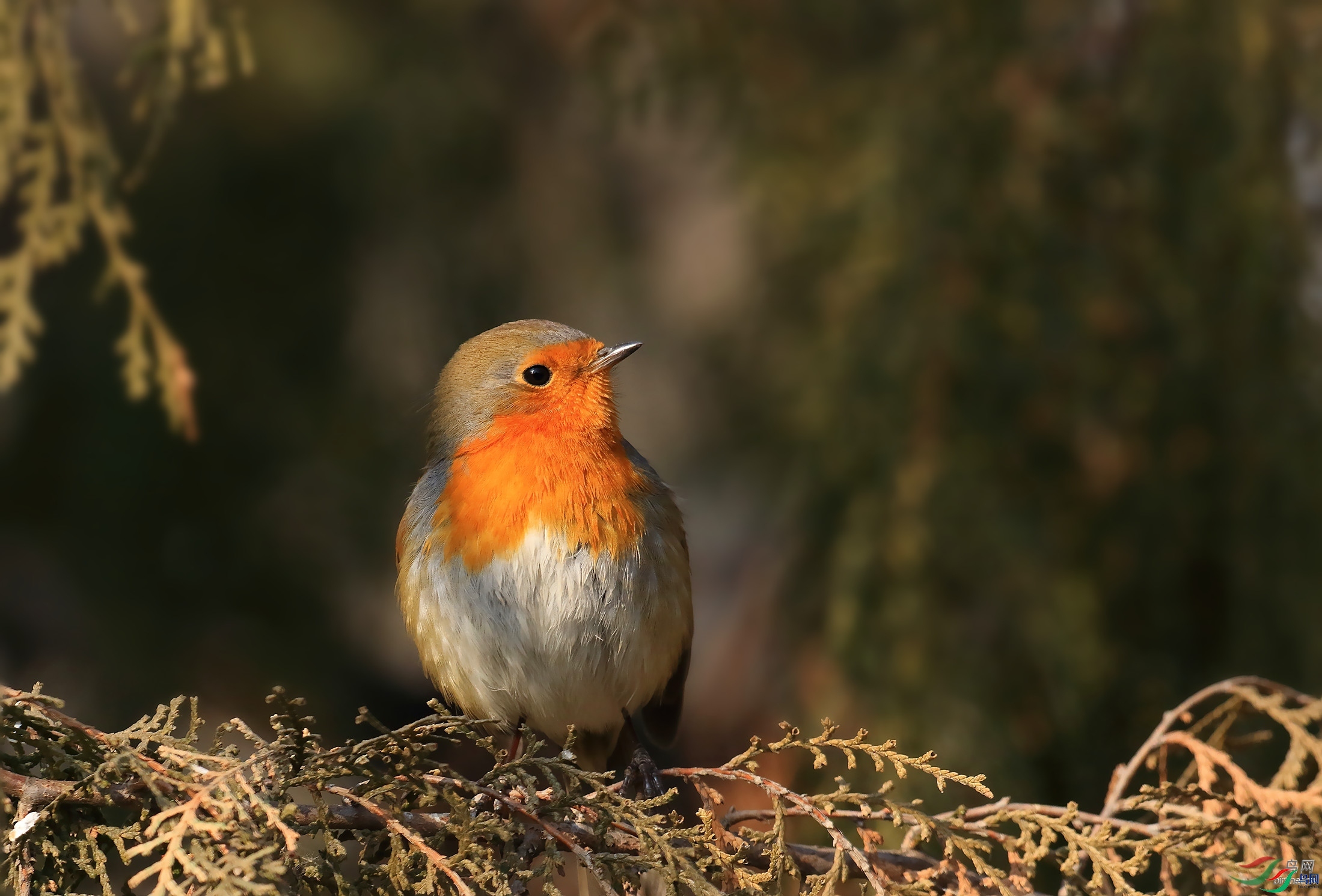 ��������֣  ��ʦ�����ڱ�����.jpg