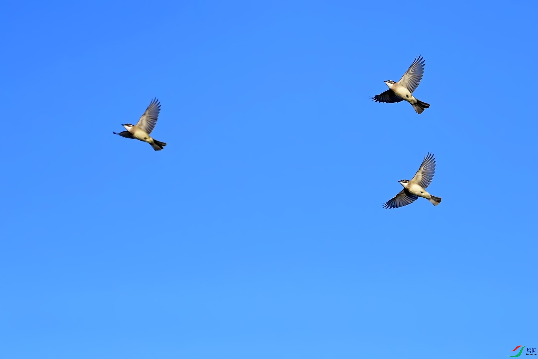 DSC_9197.jpg