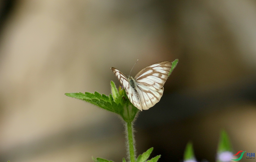 367A6543_����.jpg