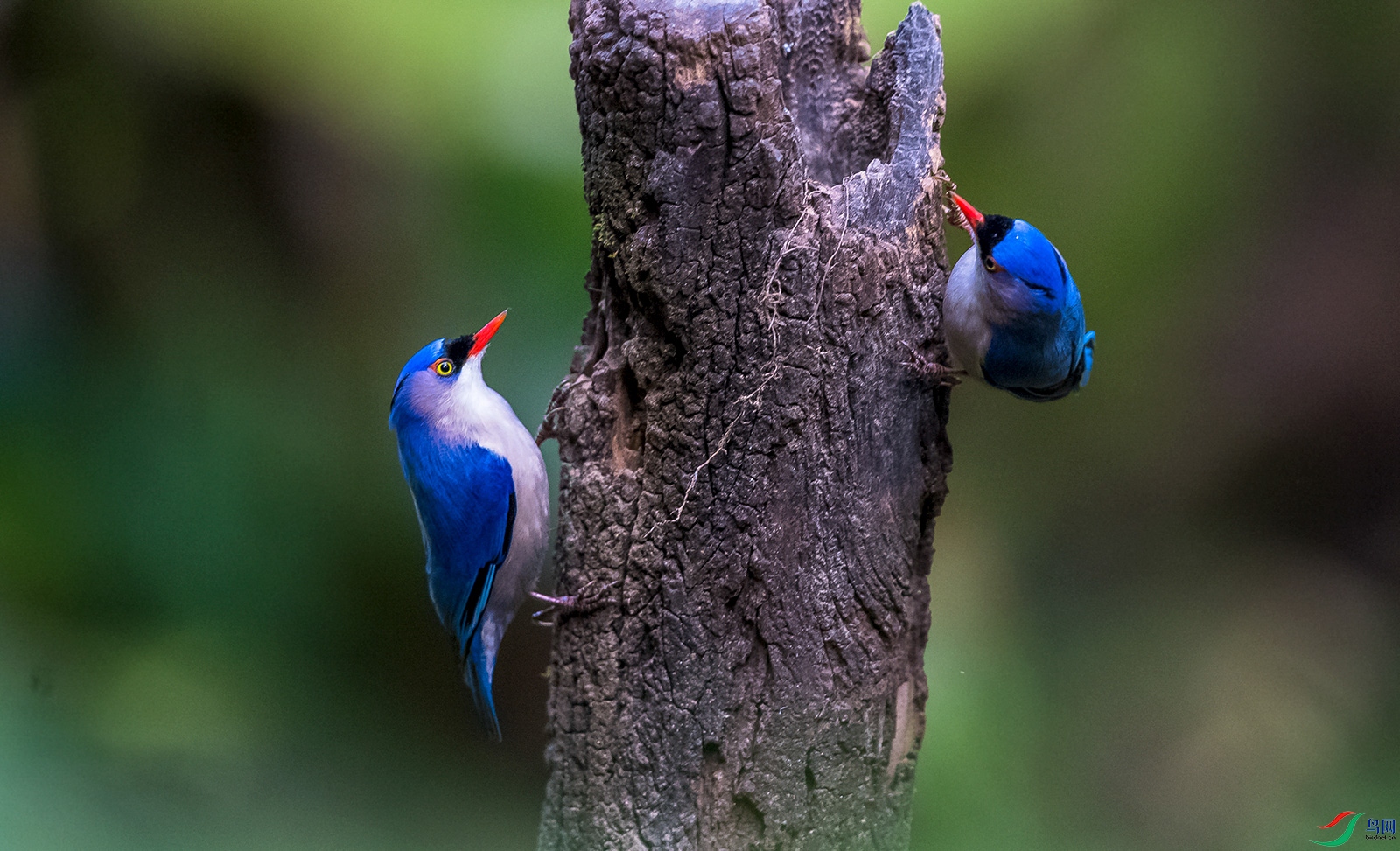 DSC_5221.jpg