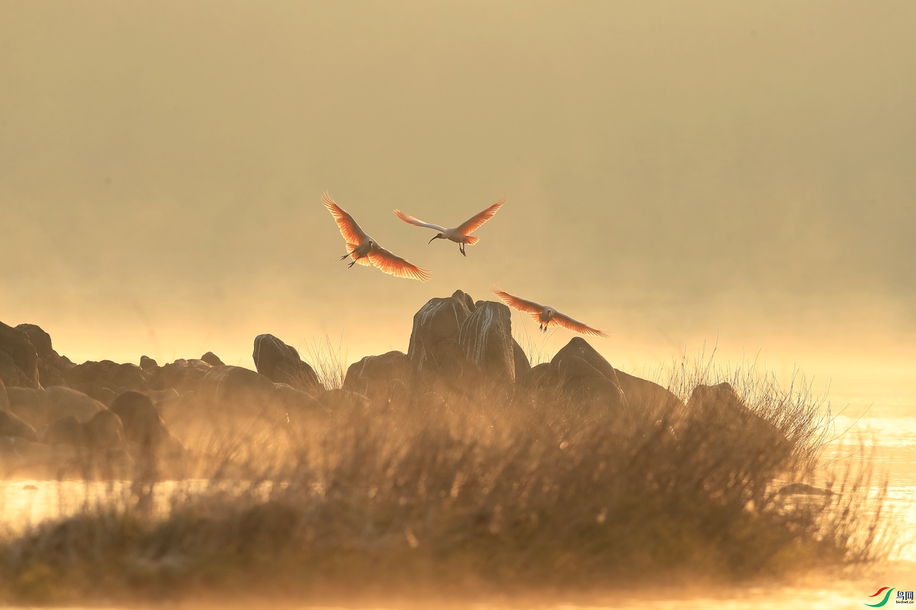 A74I7674_����.jpg