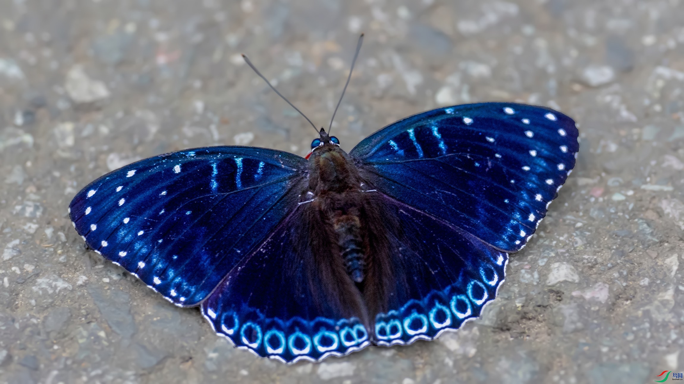 P70908141-1.jpg