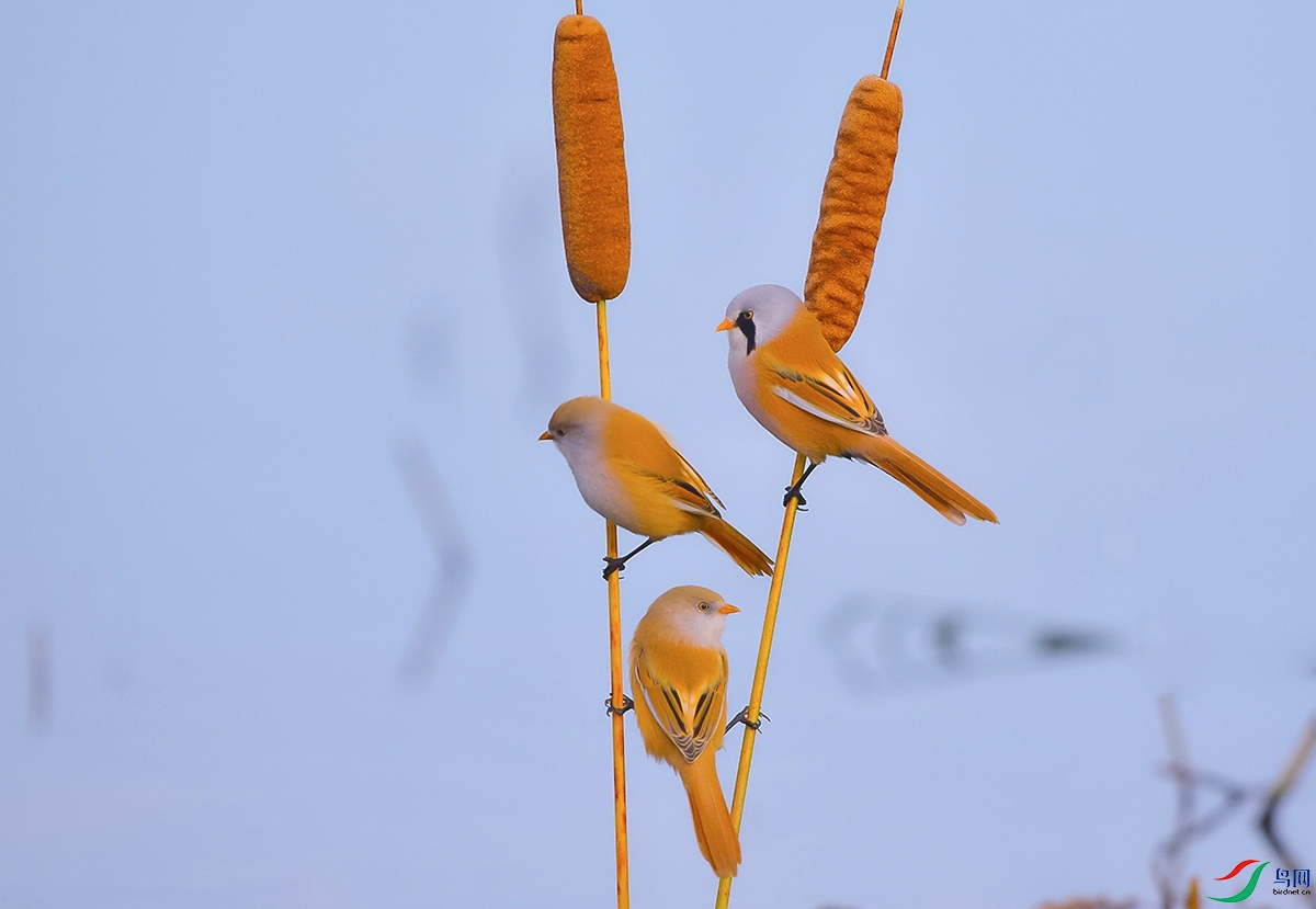 DSC_5432.JPG