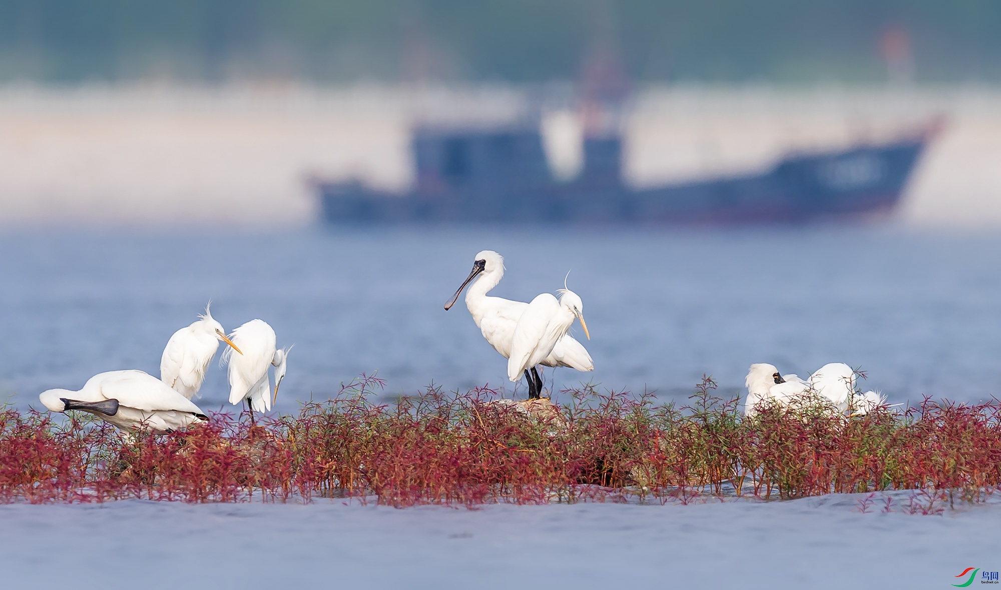 �������������