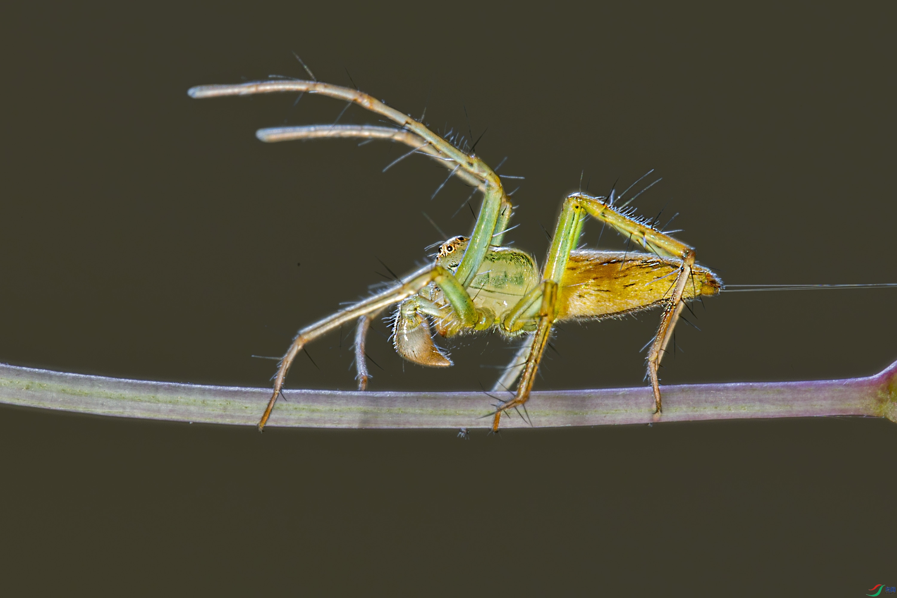 F71A0777.jpg