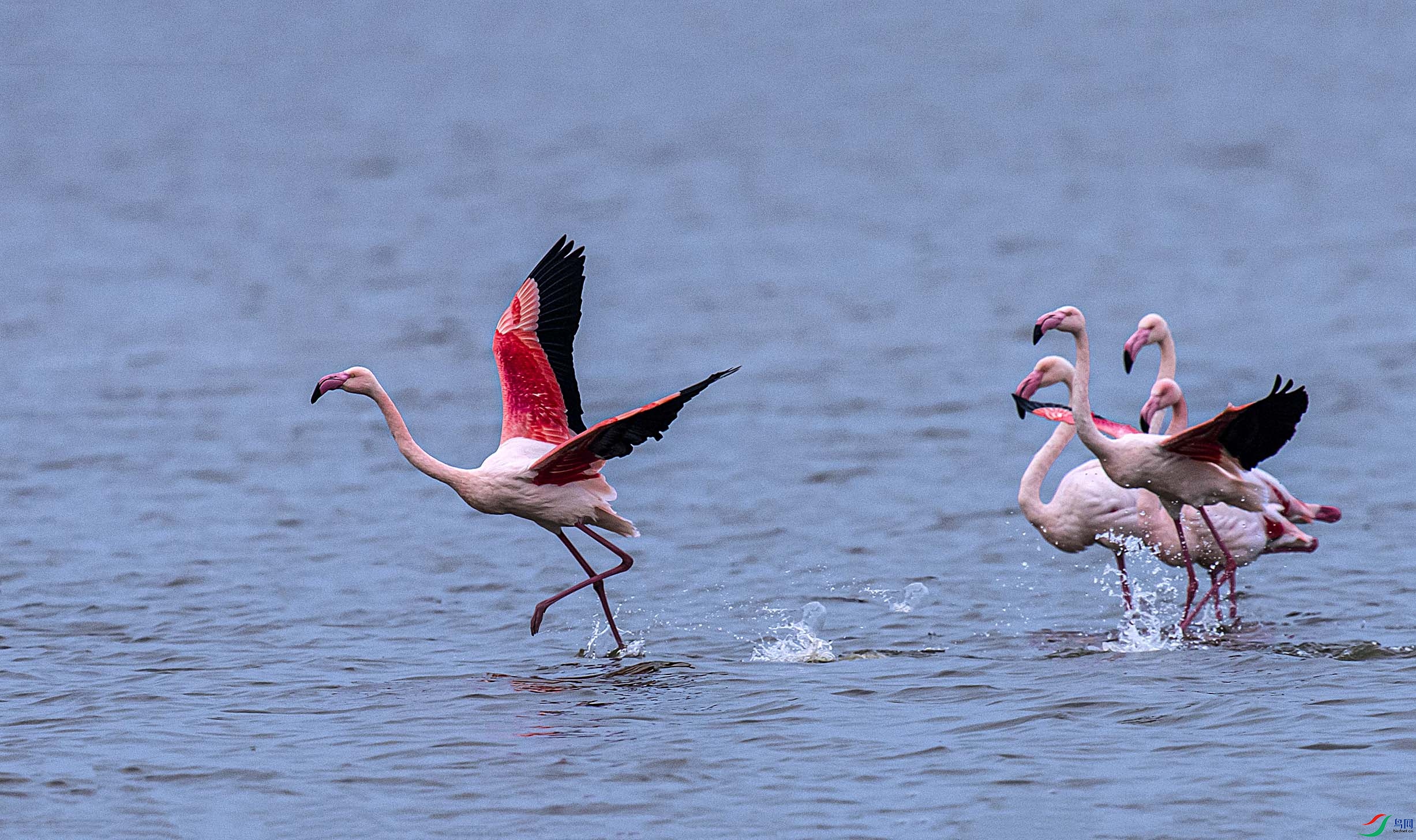 DSC_6633.jpg