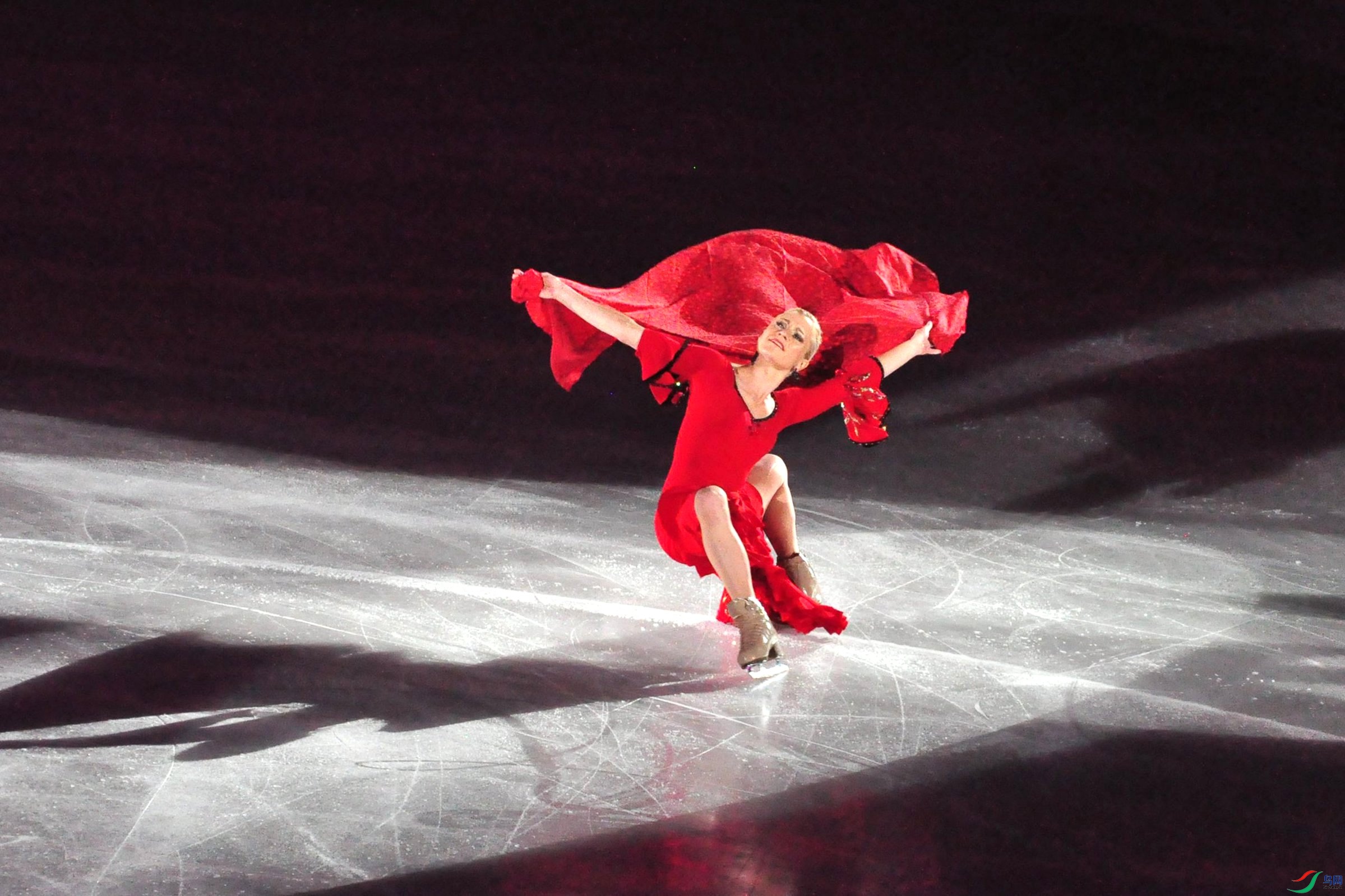 �������� 185_����.jpg