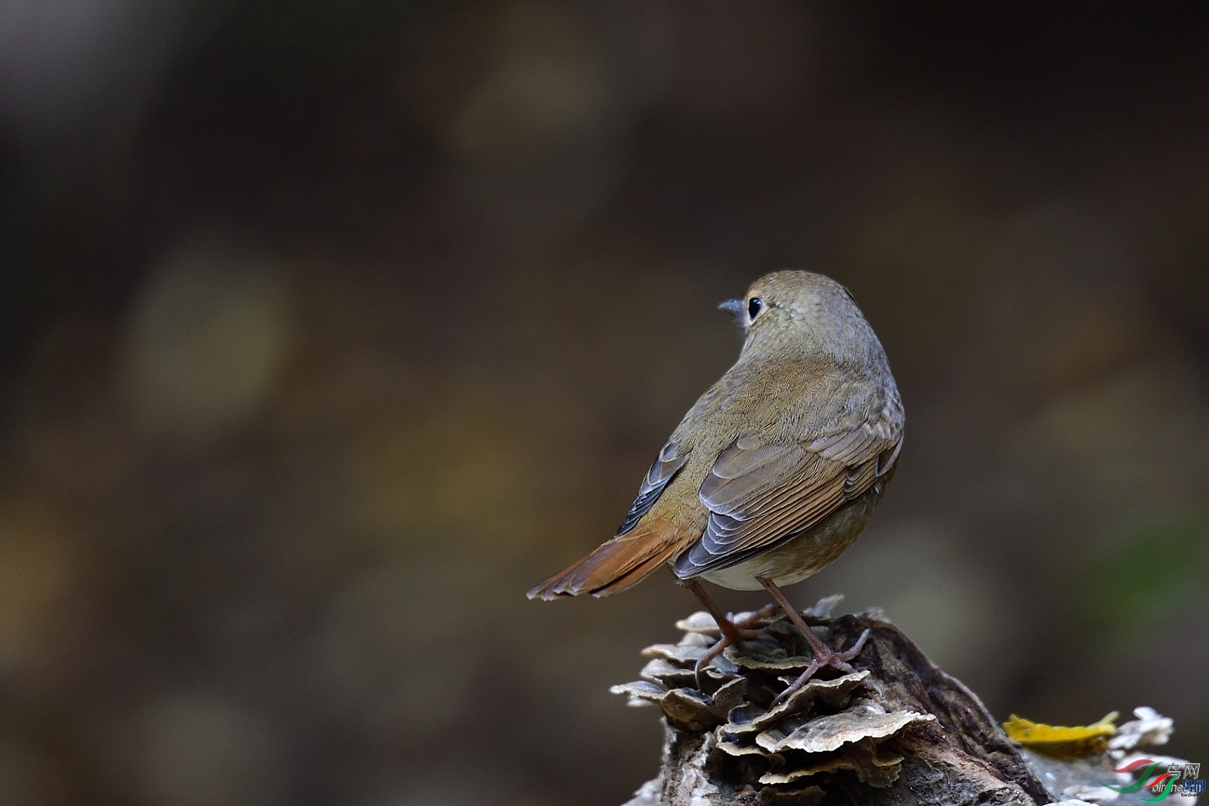 ��ɽ  ��ʦ����������������ʡ������.jpg