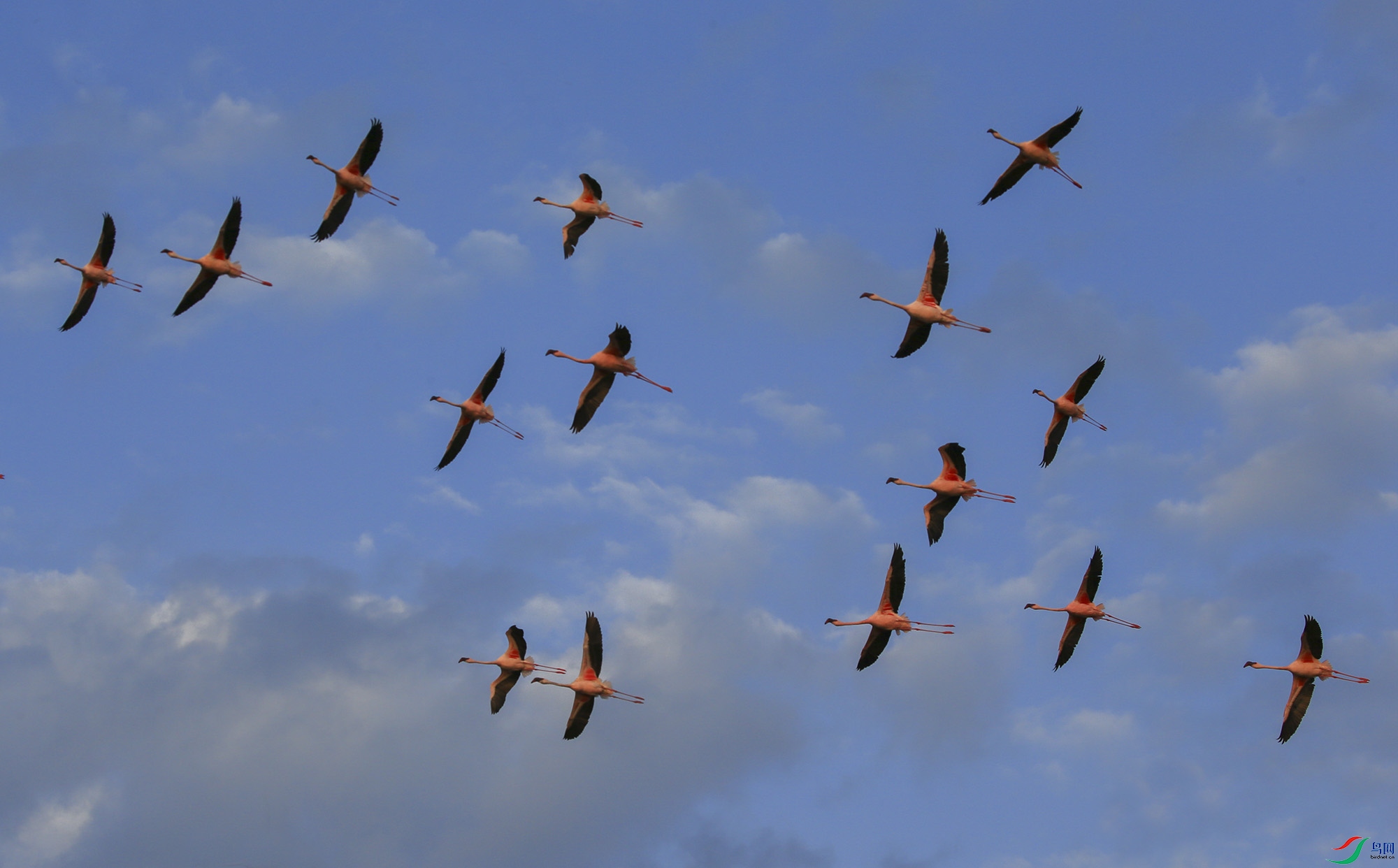 913675227391748672- (8).jpg