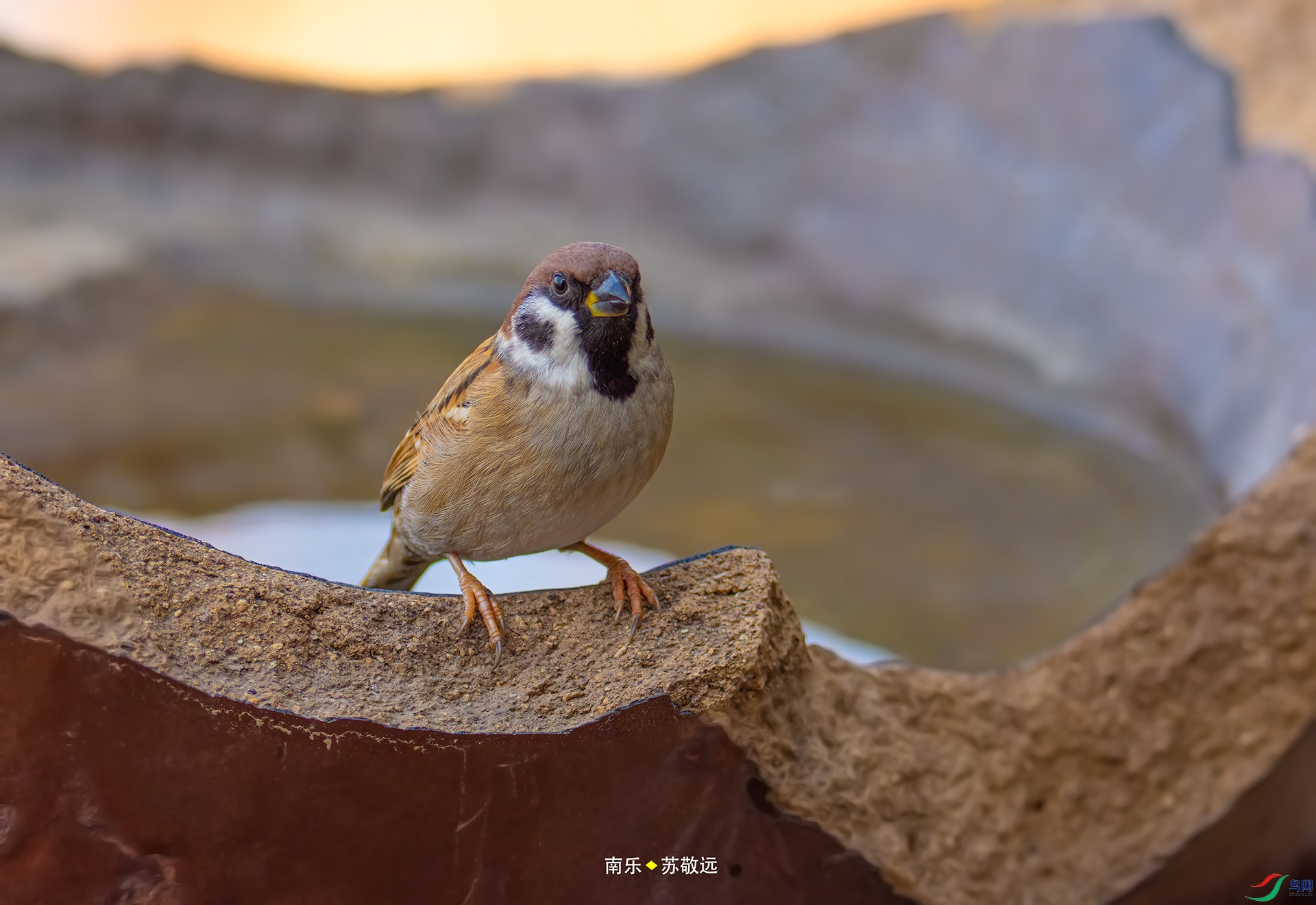 _DSC1809С.jpg