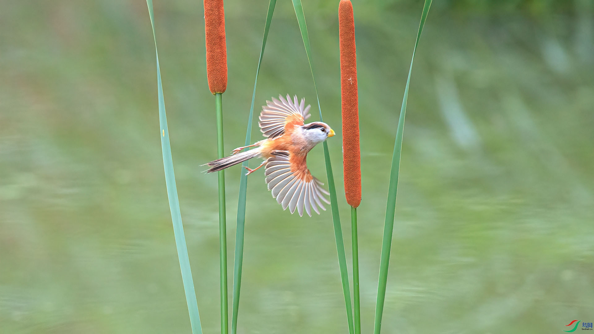 1DX_1419 ����.jpg