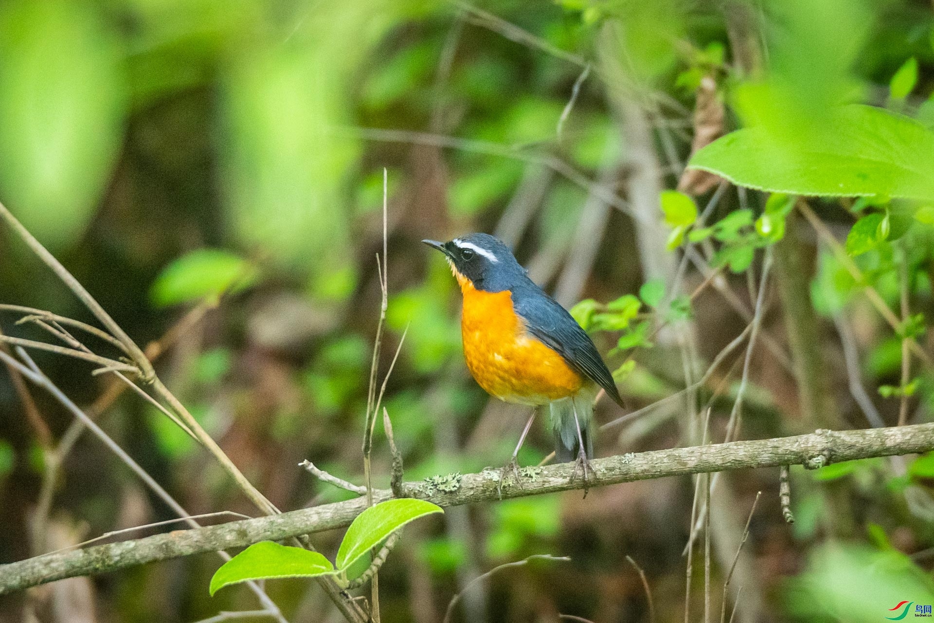 ϲ��  ��ʦ�����������������տ��������¡��.jpg