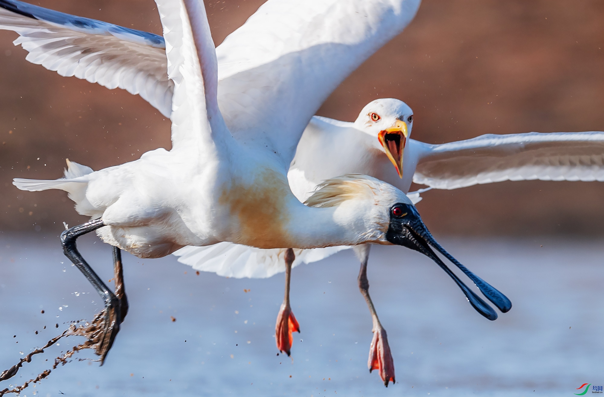 ���������뺣Ÿ