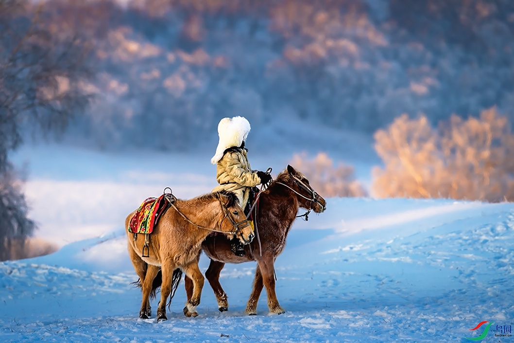 ������������ͳС��ͷ��