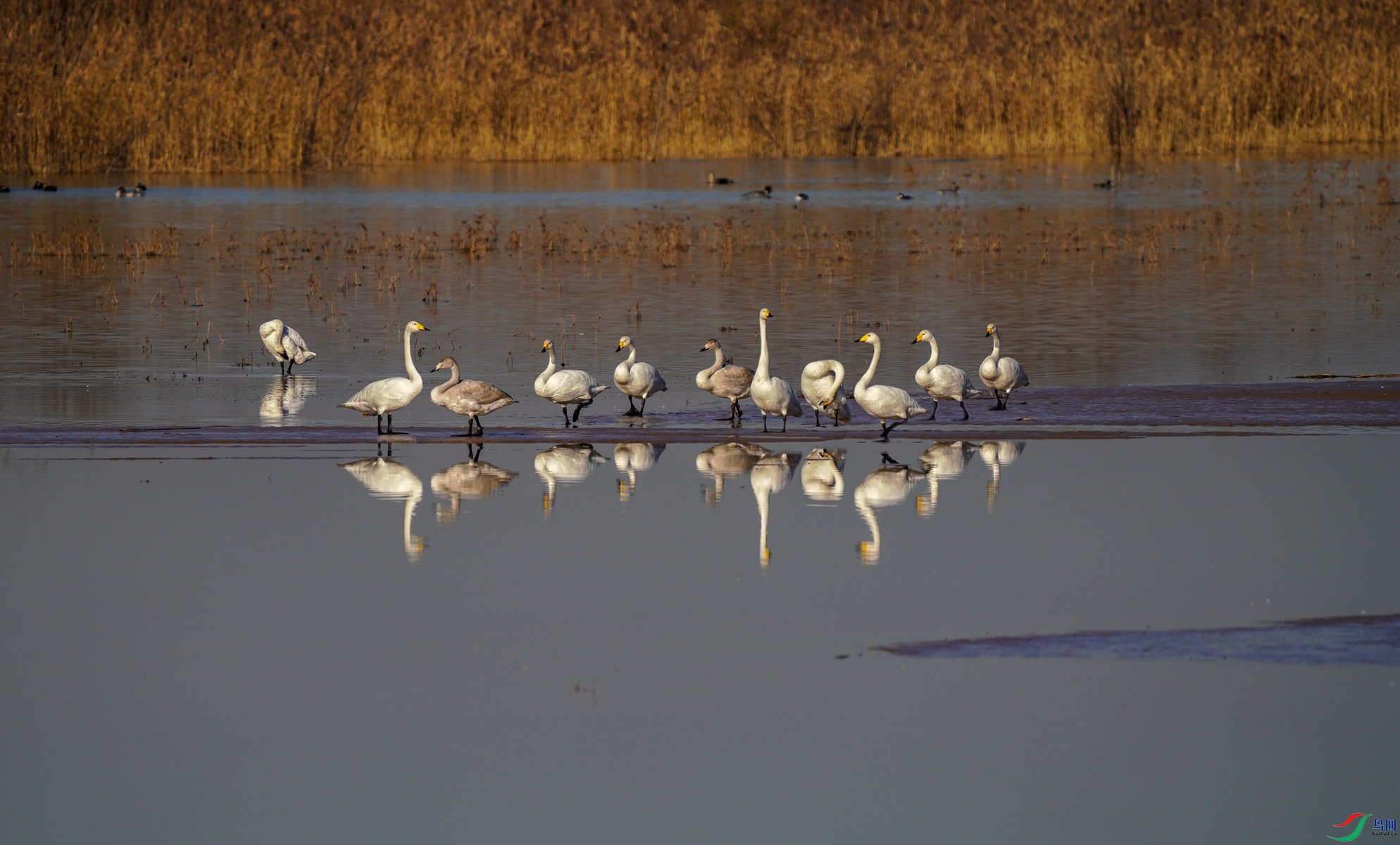 1 DSC08939��_����.jpg