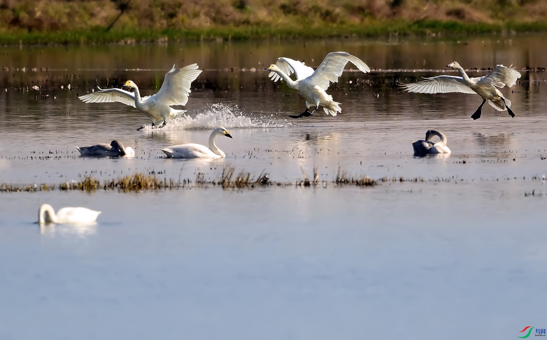DSC_1834.jpg