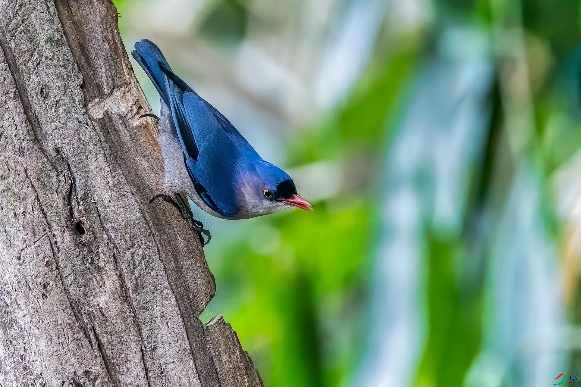DSC_7376-1.jpg