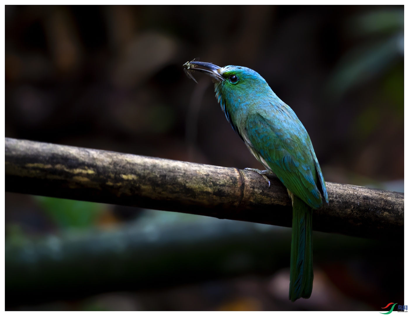 DSC_4137.jpg