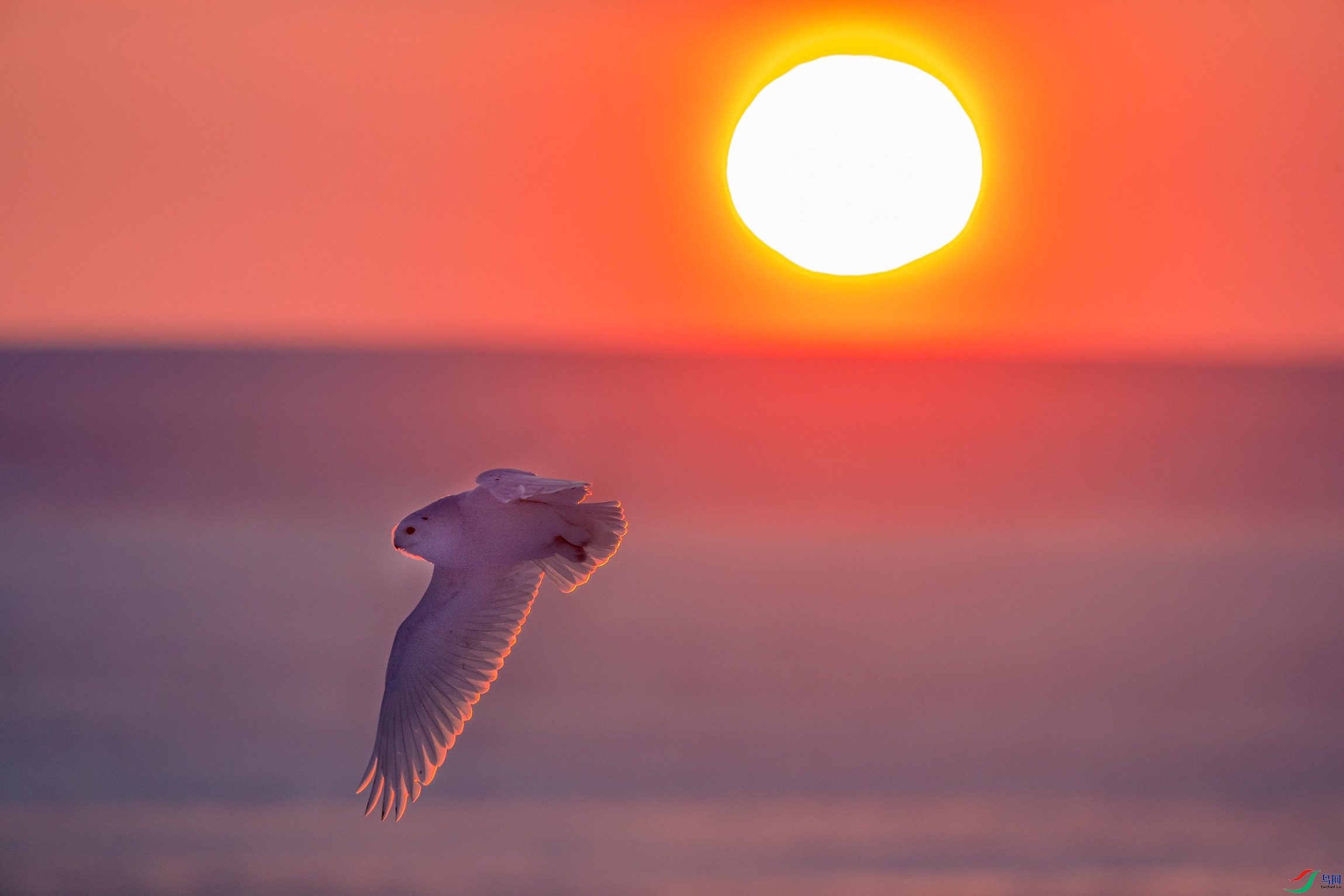 ����ϼ��