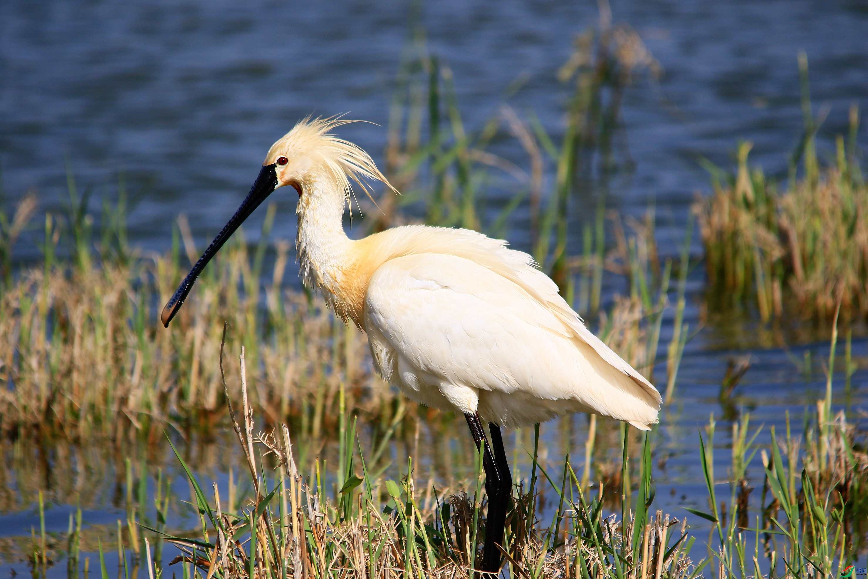 ������ (36).JPG