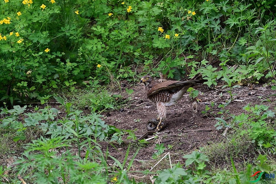 DSC_5682.jpg