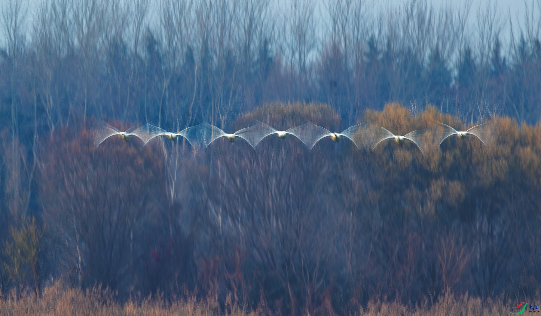 BU1I0312_���� - ����.jpg