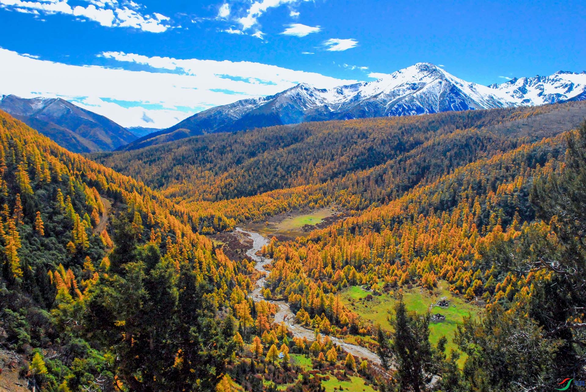 ѩ��-�� -448.jpg