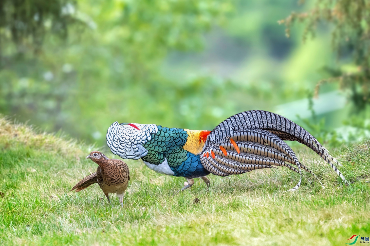 DSC_6943 ����_����.jpg