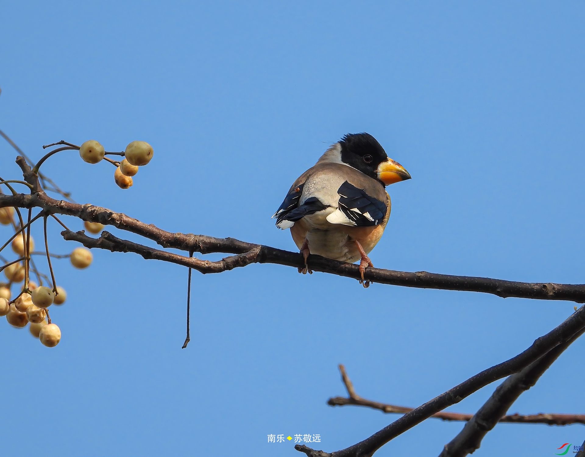 DSCN0047С.jpg