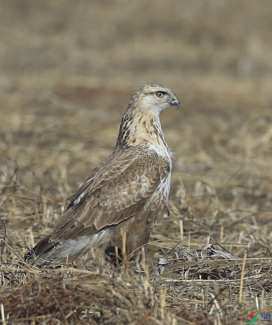 CS3U5407����.jpg