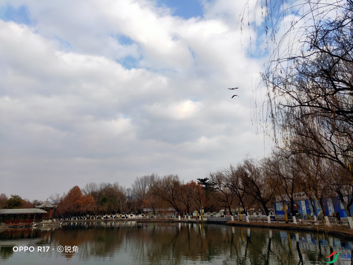IMG20211213094326.jpg