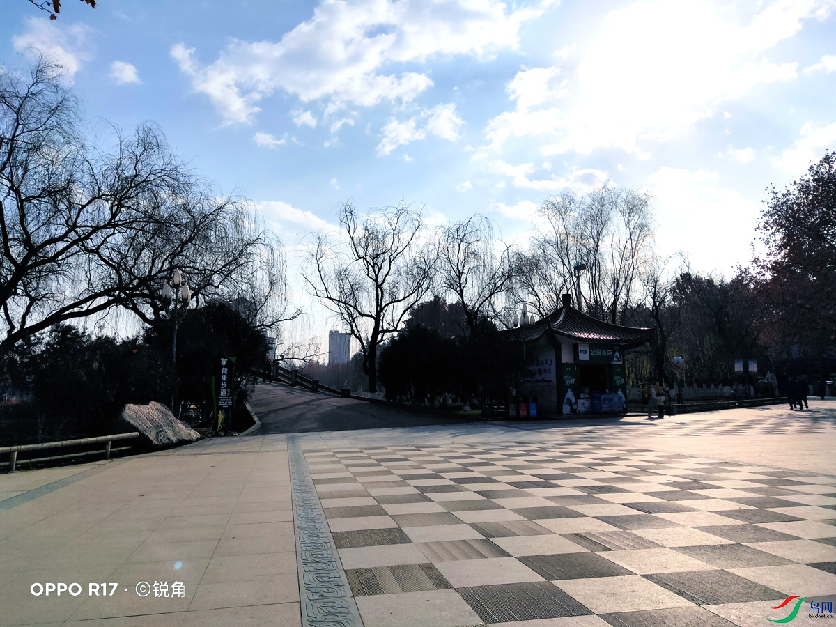 IMG20211213105553.jpg