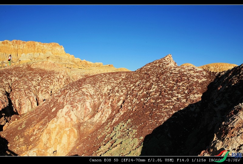 IMG_2412-1.jpg
