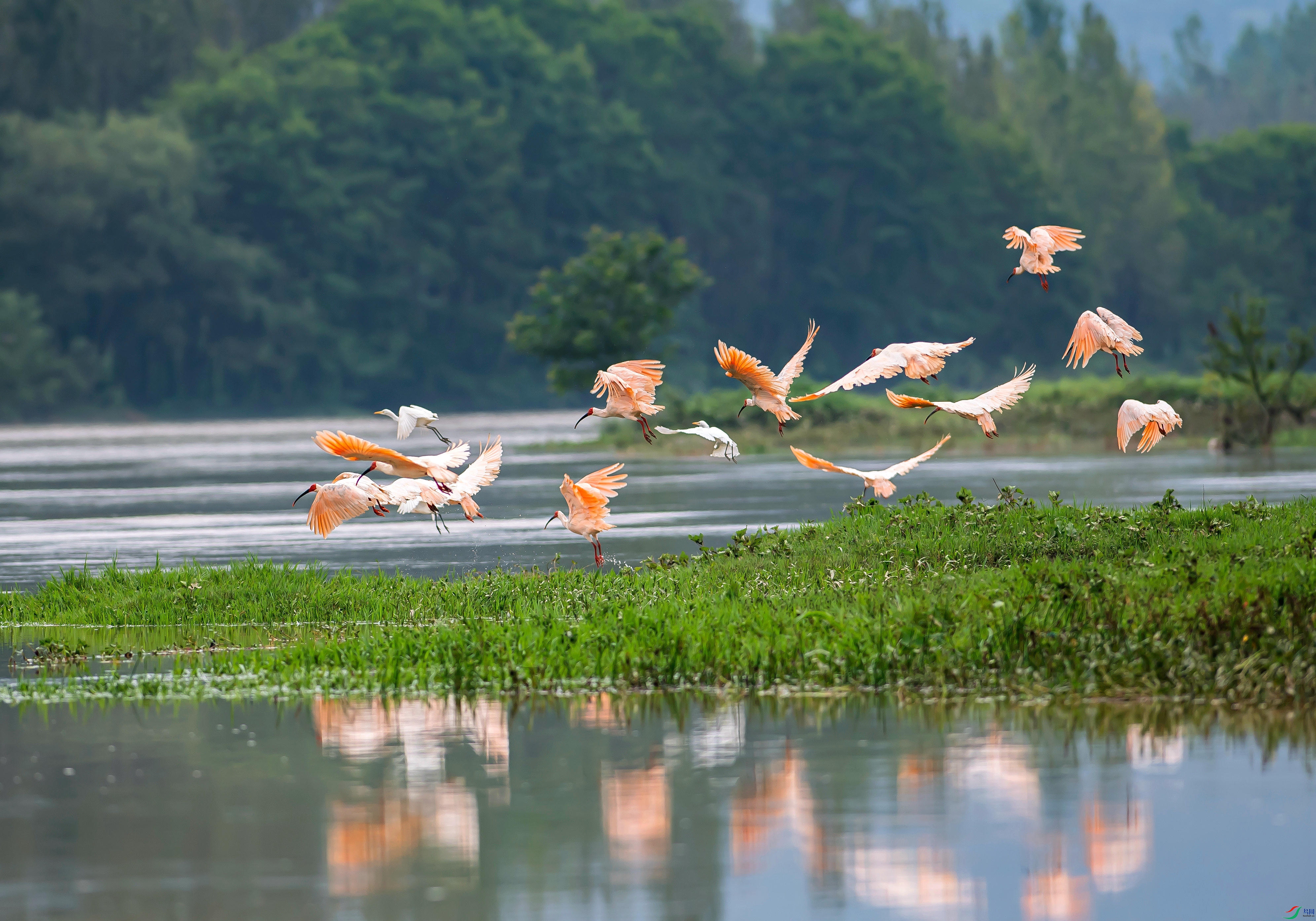 ���q����  .jpg