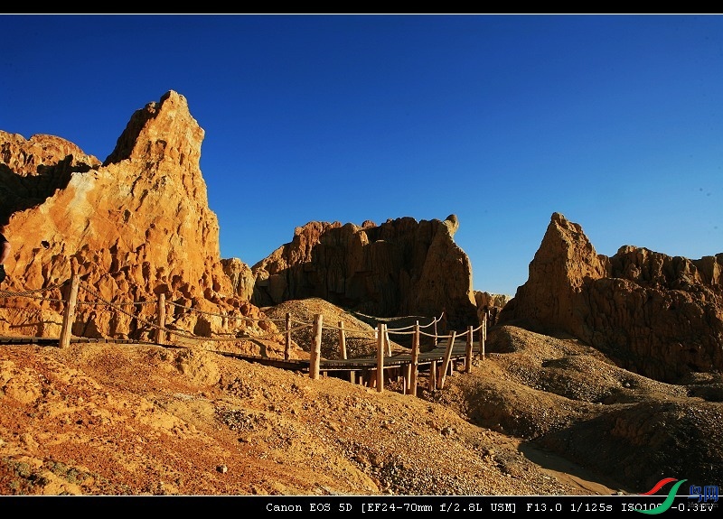 IMG_2428-1.jpg