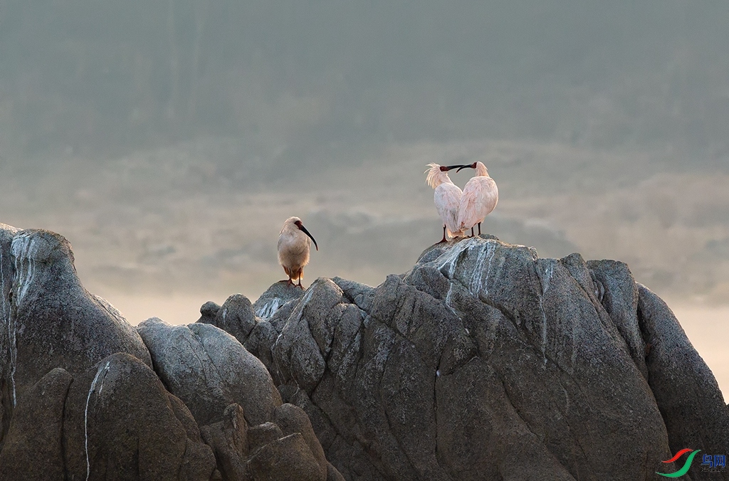 B79T0609.jpg
