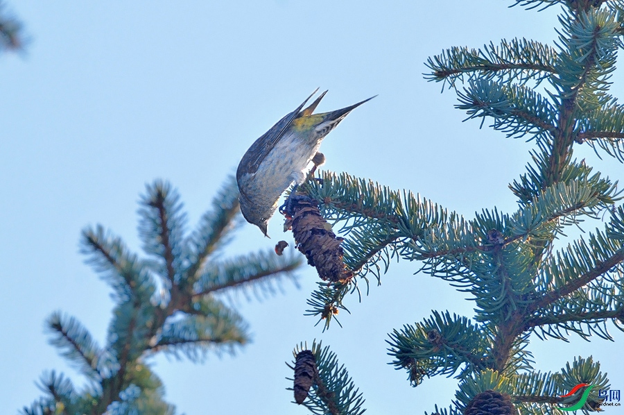 AAC_6743.JPG
