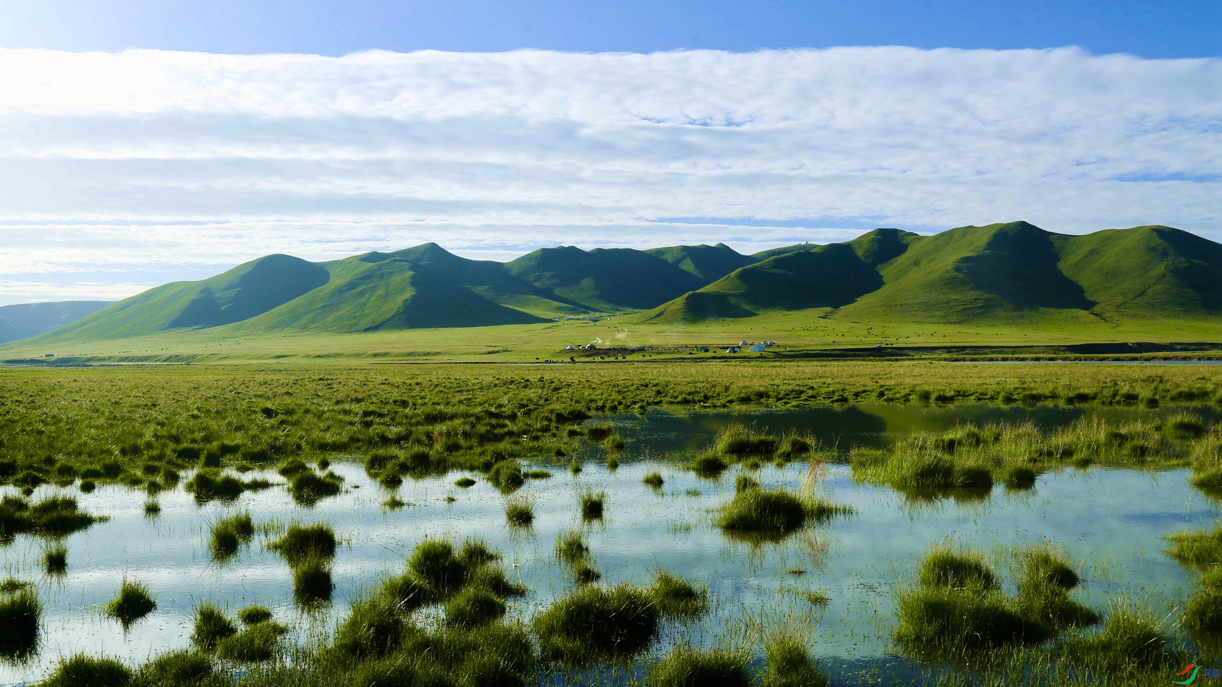 䬺�Դ����ʪ�ع�԰��ʪ�������� - ����.JPG