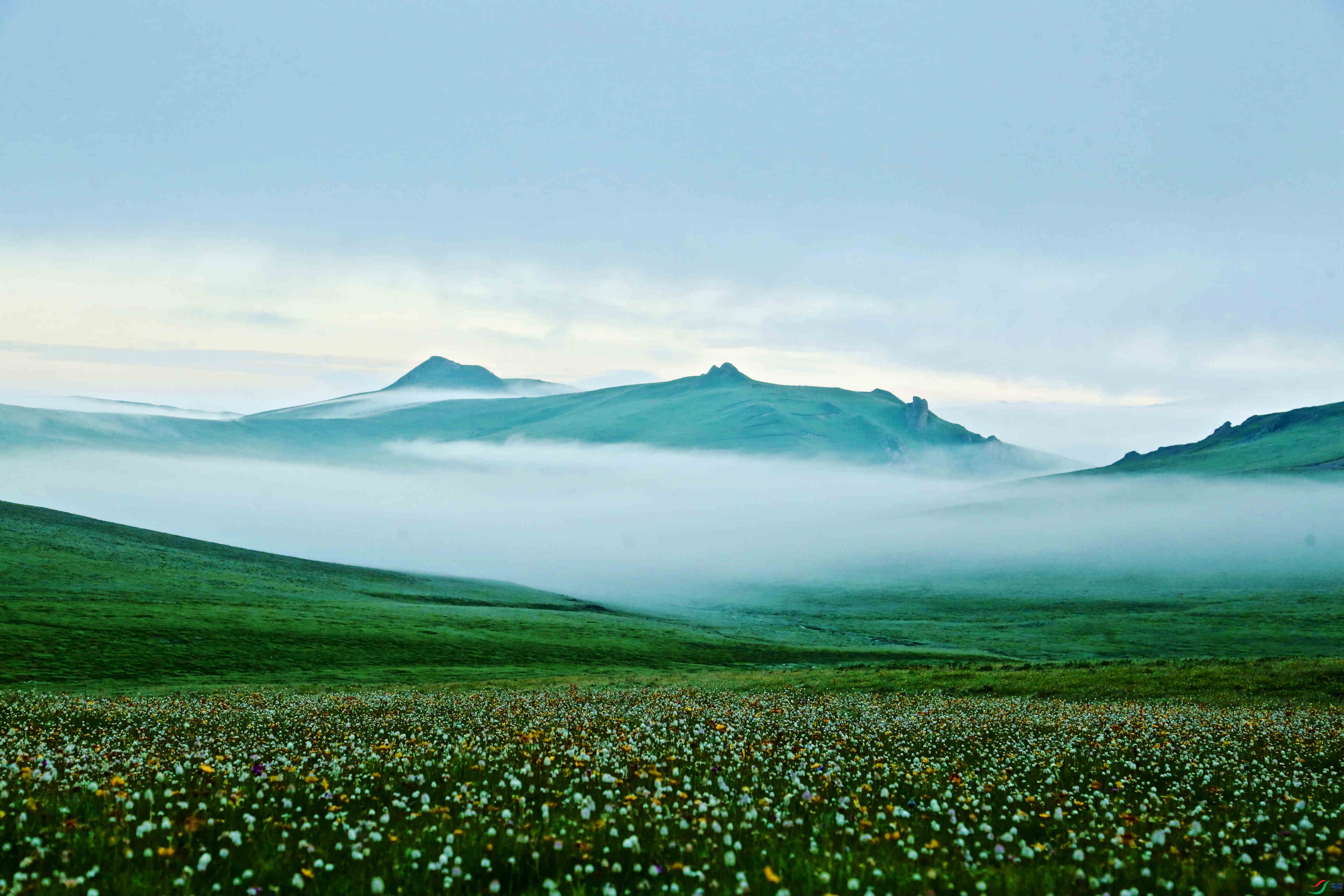 䬺�Դ����ʪ�ع�԰���������� - ����.JPG