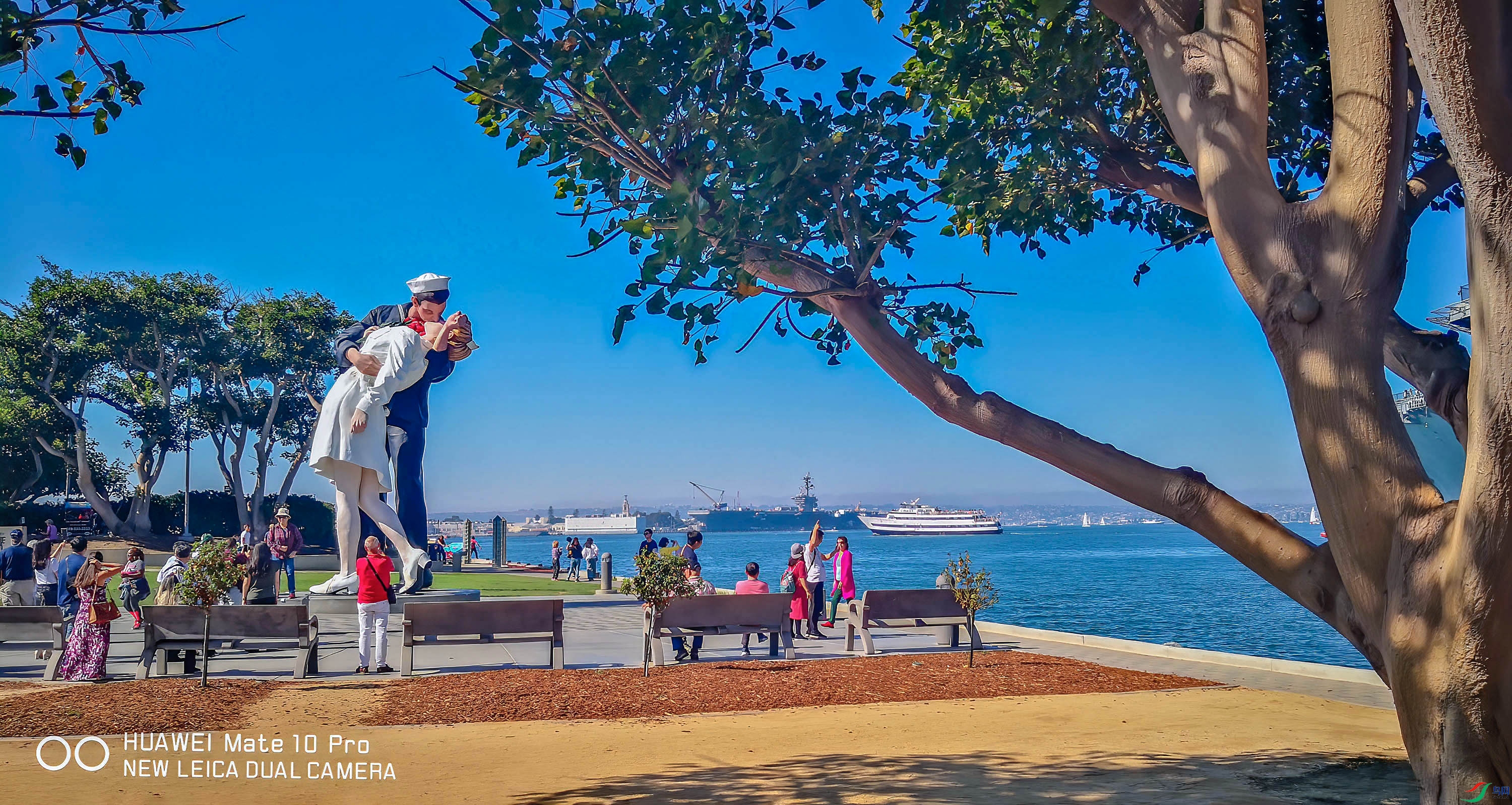 IMG_20181027_112503     ok.jpg