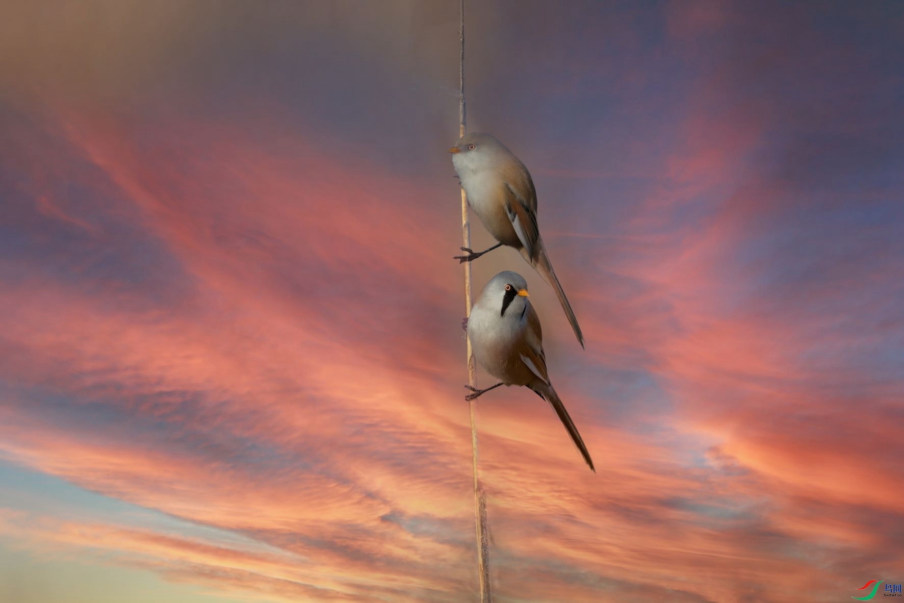 A95I0523 ���� 3.jpg